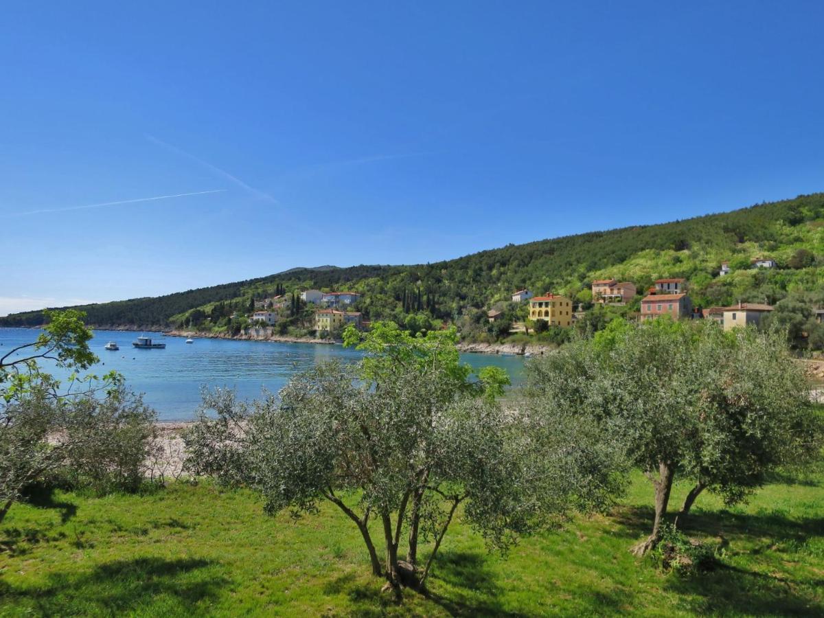 Apartment Marinella - Lbn120 By Interhome Labin (Istria) Exterior foto